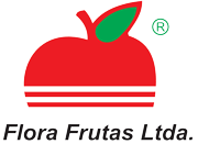 logo_ff
