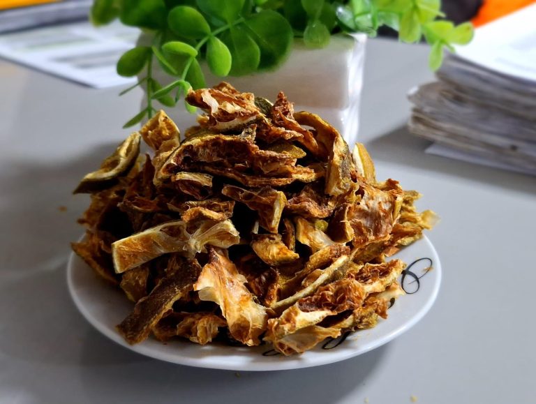 WhatsApp Image 2026-03-18 at 11.37